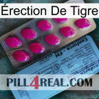 Érection De Tigre 35